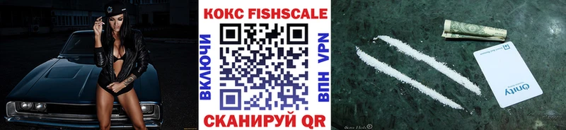 Cocaine 99%  hydra рабочий сайт  Камышлов 