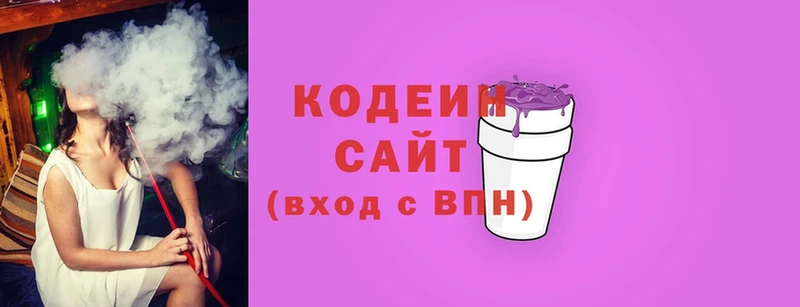 darknet официальный сайт  Камышлов  Кодеиновый сироп Lean Purple Drank  закладка 