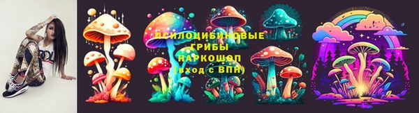 герыч Новодвинск