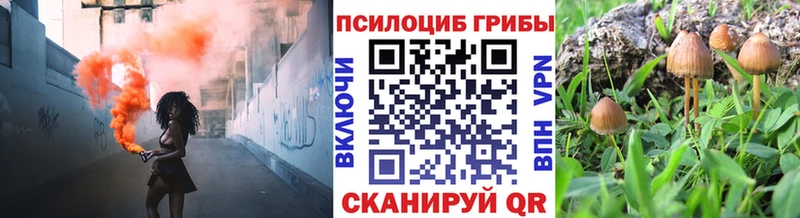 Псилоцибиновые грибы Magic Shrooms  кракен зеркало  Камышлов 