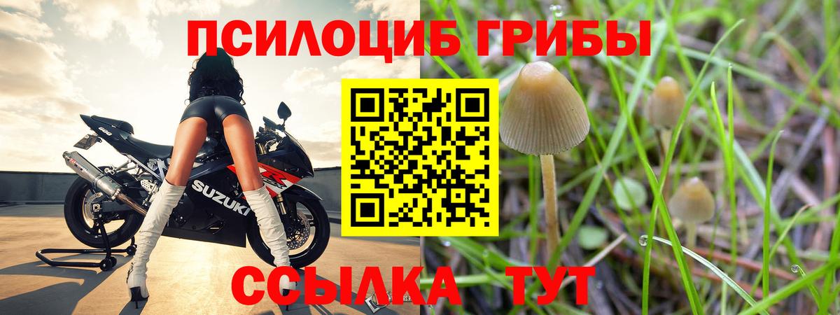 Галлюциногенные грибы ЛСД  Вход с VPN  Камышлов  Галлюциногенные грибы Cubensis 