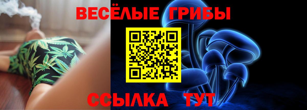 Галлюциногенные грибы Psilocybe Камышлов